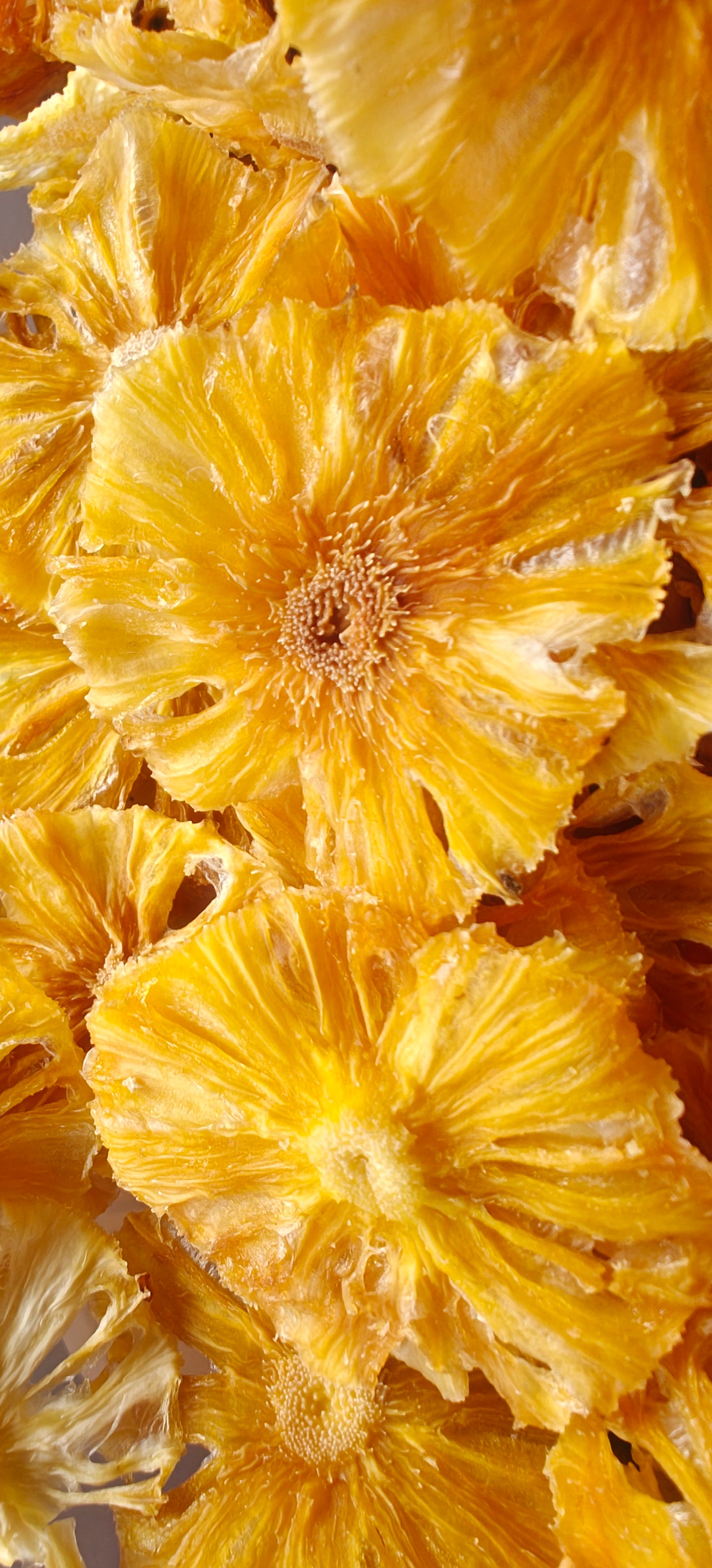 Ethno Veda Solar Dried Pineapple - No Added Sugar, From the Hills of Manipur, Queen Variety | Healthy Natural Snack (50g)